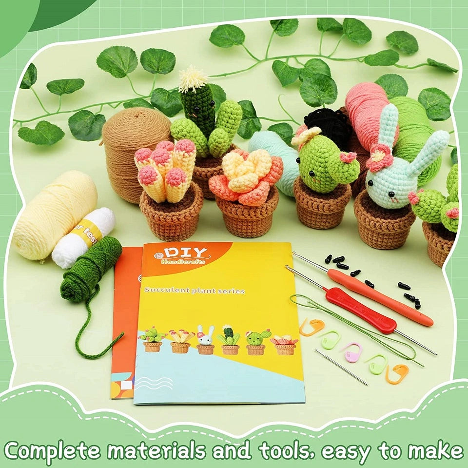 Cactus Crunch Combo Bundle