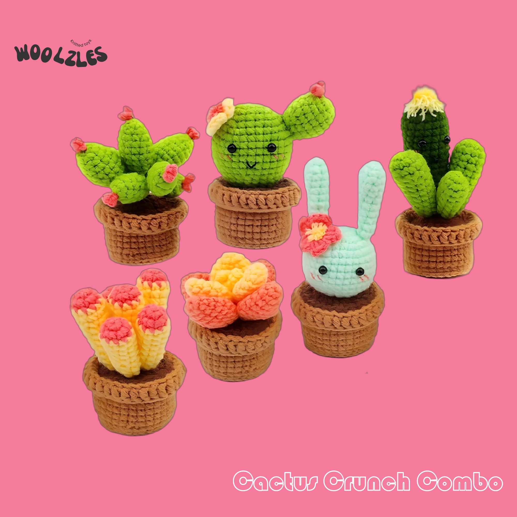 Cactus Crunch Combo Bundle